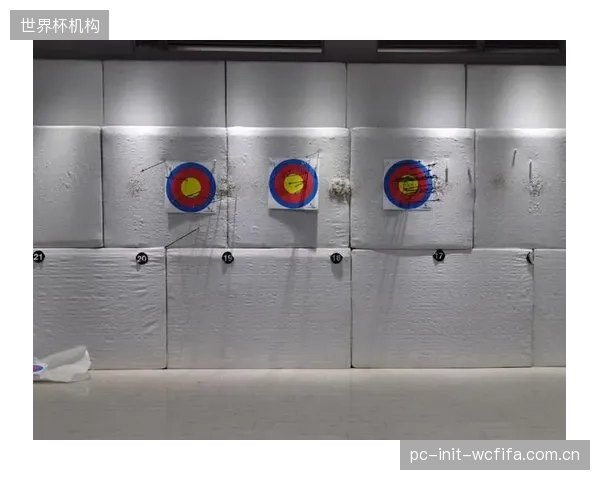 世界各地射箭馆淘汰下来的旧式电子靶，何时能有一个明确的回收与环保处置方案？